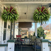 UV Resistant Artificial Fern And Red Dracaena