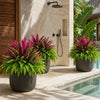 UV Resistant Artificial Fern And Red Dracaena