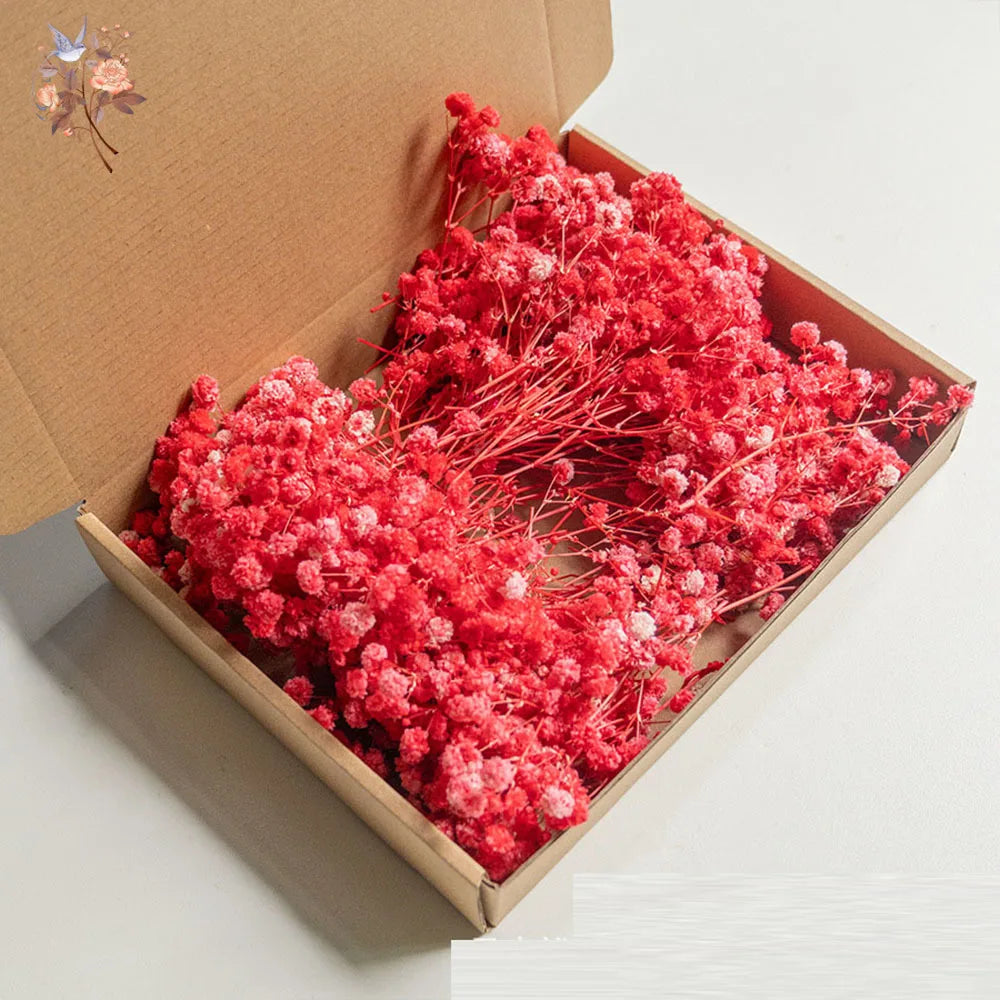Mini Dried Gypsophila Flower DIY Aromatherapy Candle Material Home Decor Eternal Flowers Baby Breath Embellish Gift 100pcs Boxed