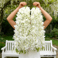 20PCS Artificial Wisteria Simulation Flower Vine, Indoor and Outdoor Hanging Decoration, Maintenance Free Fake Wisteria Vine