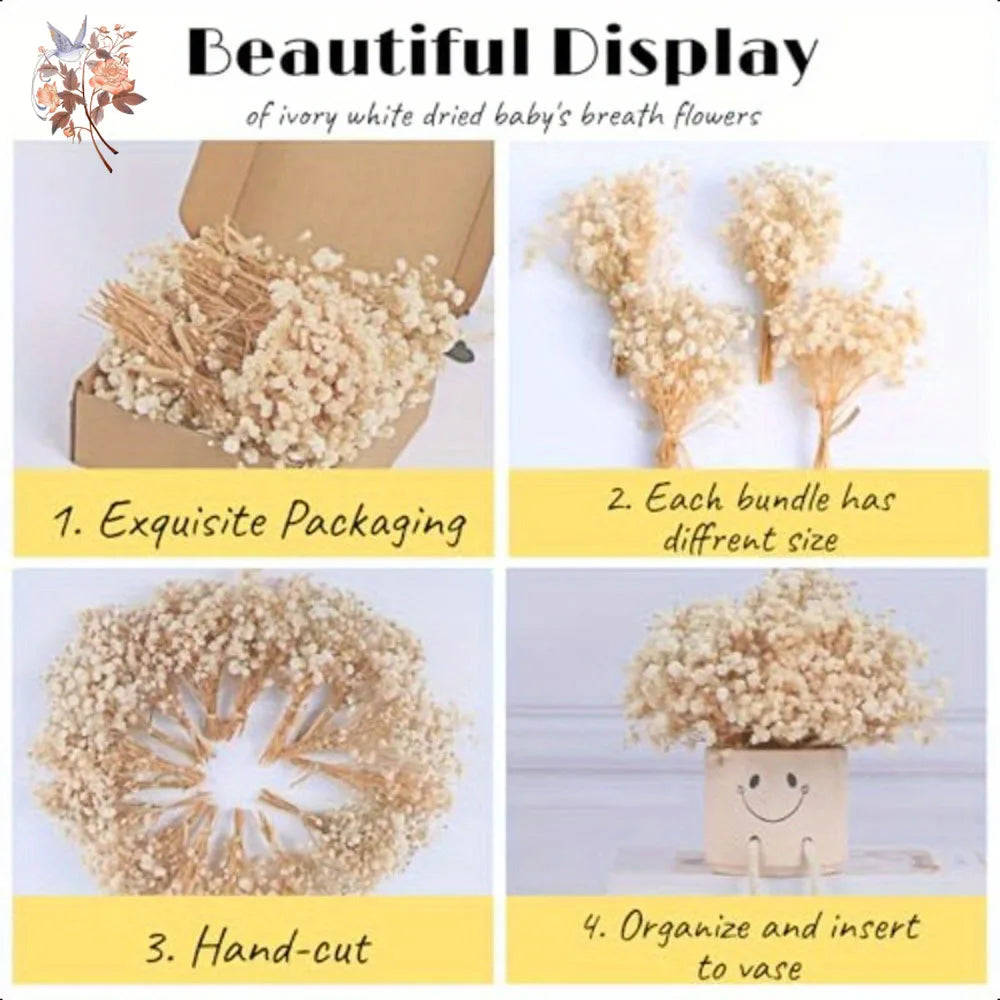 Mini Dried Gypsophila Flower DIY Aromatherapy Candle Material Home Decor Eternal Flowers Baby Breath Embellish Gift 100pcs Boxed