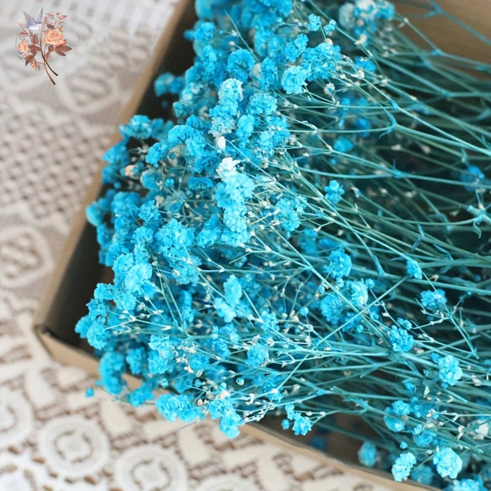 Mini Dried Gypsophila Flower DIY Aromatherapy Candle Material Home Decor Eternal Flowers Baby Breath Embellish Gift 100pcs Boxed