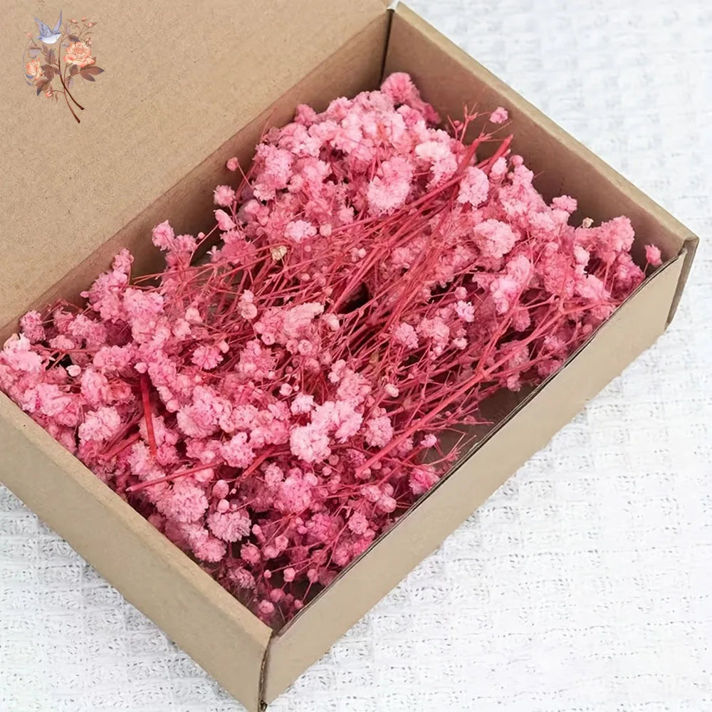 Mini Dried Gypsophila Flower DIY Aromatherapy Candle Material Home Decor Eternal Flowers Baby Breath Embellish Gift 100pcs Boxed