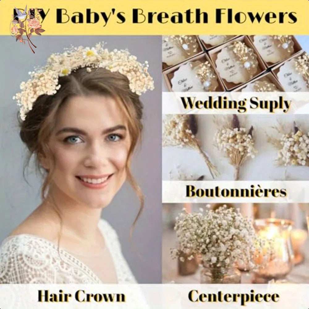 Mini Dried Gypsophila Flower DIY Aromatherapy Candle Material Home Decor Eternal Flowers Baby Breath Embellish Gift 100pcs Boxed