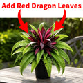 Add Red Dragon Leaves
